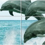 Панель ПВХ Океан Дельфины 2700х250х8 мм, 12 шт/упак