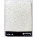Плита потолочная Armstrong Oasis NG Board 600х600 х 12 мм, шт
