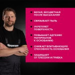 Грунтовка Церезит CT 17 Transparent глубокого проникновения беcцветная 10 л, шт