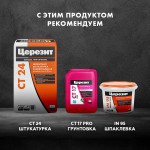 Цемент Церезит CX 5 монтажный и водоостанавливающий 2 кг, шт