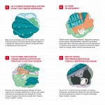 Гибкая черепица ТехноНиколь Shinglas Финская черепица Аккорд Коричневый, 3 м2/упак