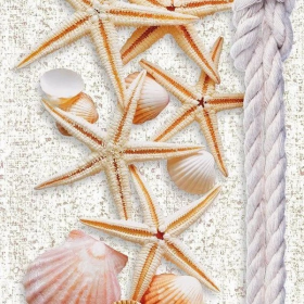 Панель ПВХ Морской бриз узор 2700х250х9 мм, 10 шт/упак