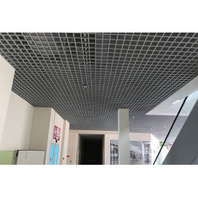 Элемент для потолка Грильято 100х100х40х10 мм "папа" металлик серебро, шт