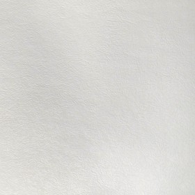 Обои под покраску флизелиновые антивандальные Elysium А523025 1,06х25м, 2 рул/упак